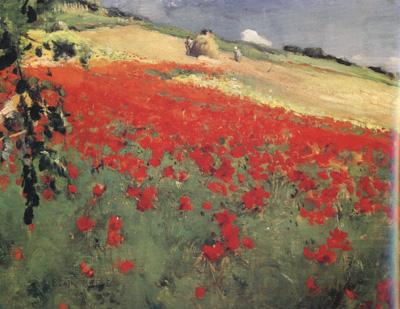 William blair bruce Landscape with Poppies (nn02) china oil painting image